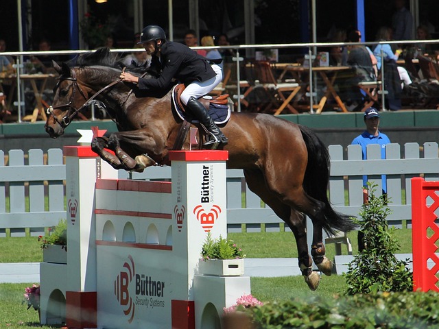 的快攻与阵 的快攻与阵