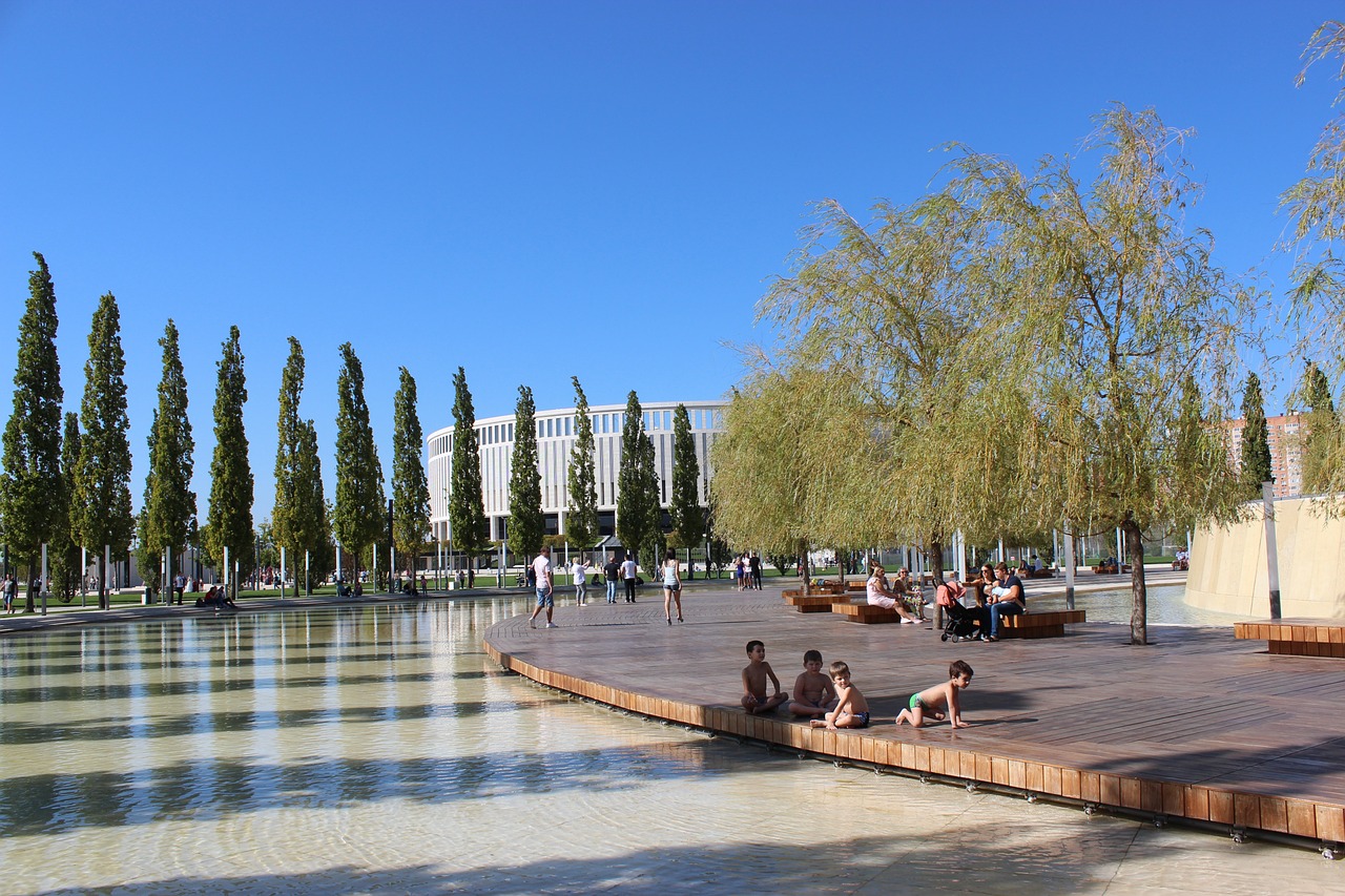 导力和感染 导力和感染