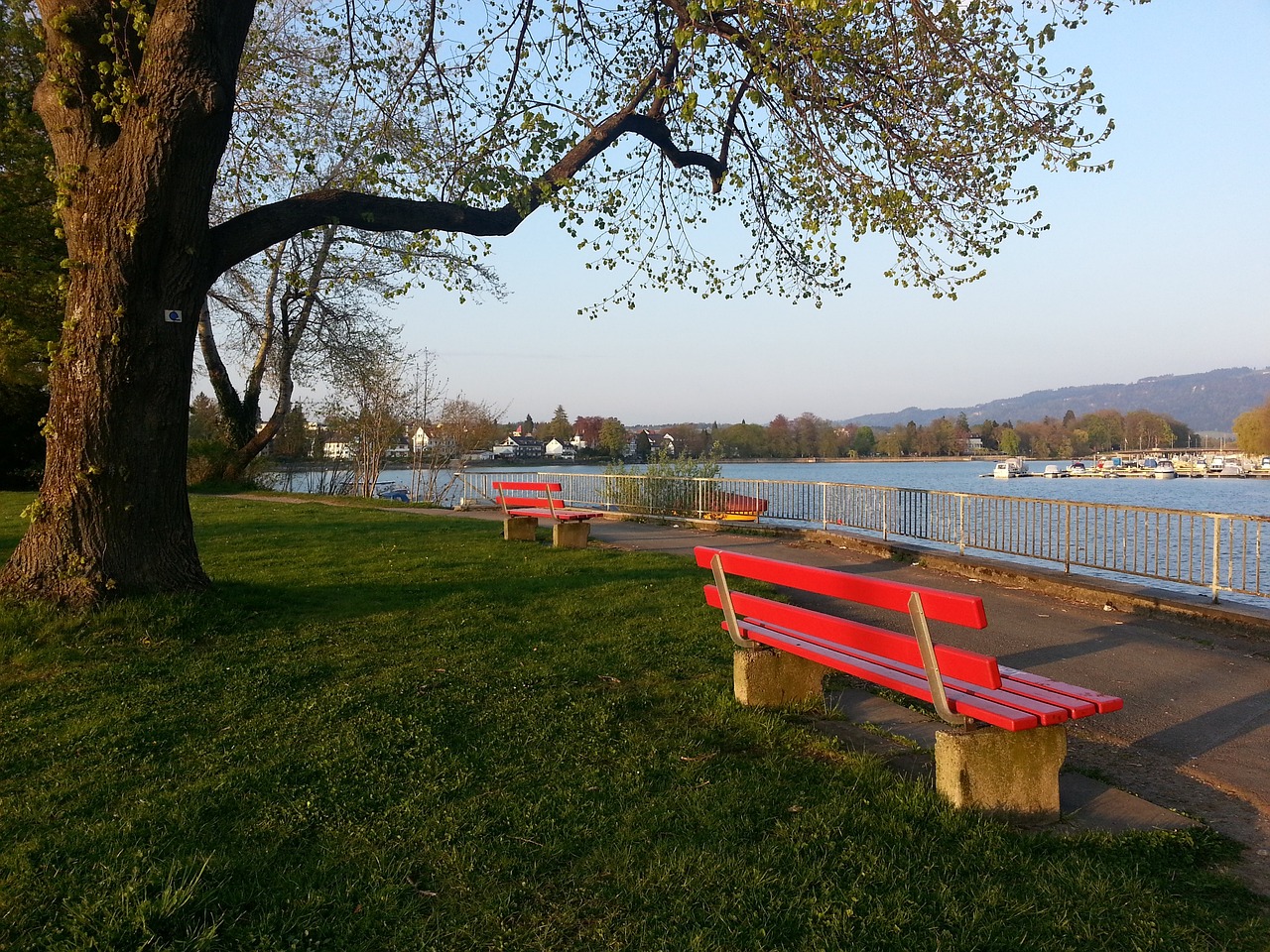 需要对球队 需要对球队