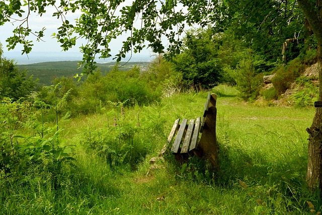 法的重新定 法的重新定
