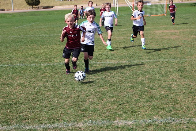 本赛季旅程 本赛季旅程