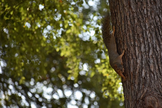 这场比赛注 这场比赛注